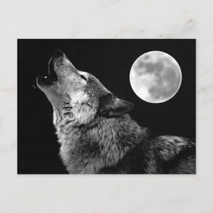 BW Wolf Howling bij Moon Briefkaart