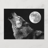 BW Wolf Howling bij Moon Briefkaart (Voorkant)