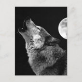 BW Wolf Howling bij Moon Briefkaart (Voorkant)
