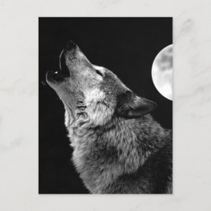 BW Wolf Howling bij Moon Feestdagenkaart