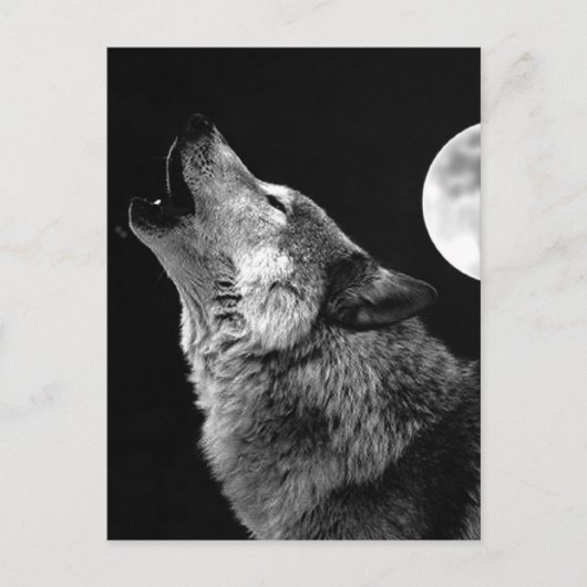 BW Wolf Howling bij Moon Feestdagenkaart (Voorkant)