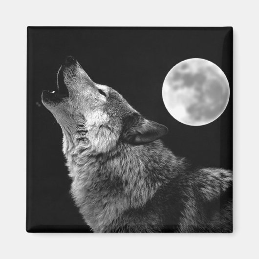 BW Wolf Howling bij Moon Magneet (Voorkant)
