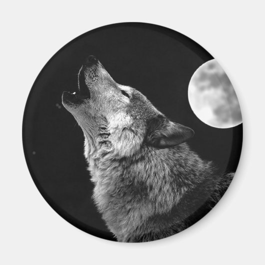 BW Wolf Howling bij Moon Magneet (Voorkant)