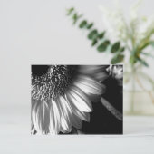 BW Zonnebloem 2 Briefkaart (Staand voorkant)