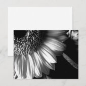 BW Zonnebloem 2 Briefkaart (Voorkant / Achterkant)