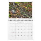 BWCA Namekagon Calendar Kalender (Feb 2026)