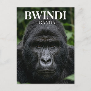 Bwindi ondoordringbaar bos Oeganda Briefkaart