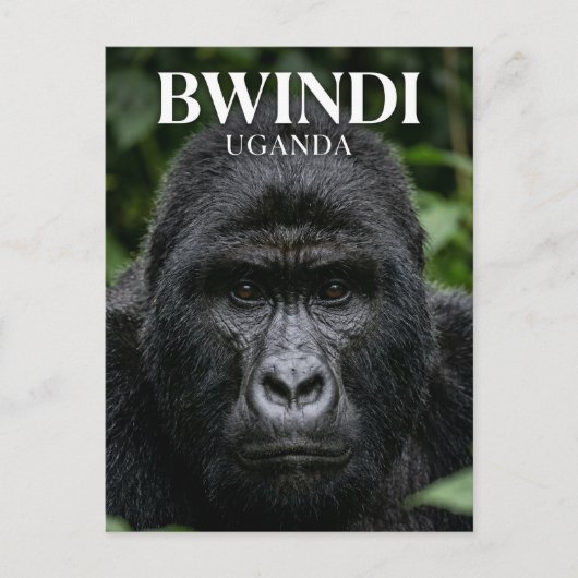 Bwindi ondoordringbaar bos Oeganda Briefkaart (Voorkant)