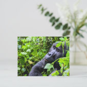 Bwindi Woud, Oeganda Reisansichtkaart Briefkaart (Staand voorkant)