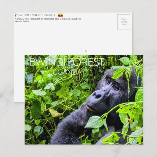 Bwindi Woud, Oeganda Reisansichtkaart Briefkaart (Voorkant / Achterkant)