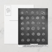 Byzantijnse en Romeinse munten, 4 tot 10e eeuw Briefkaart (Voorkant / Achterkant)