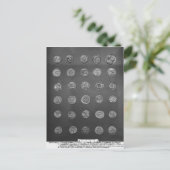 Byzantijnse en Romeinse munten, 4 tot 10e eeuw Briefkaart (Staand voorkant)