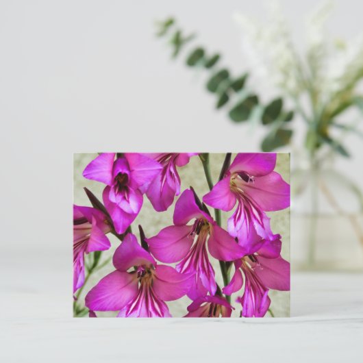 Byzantijnse Gladiolus Briefkaart (Staand voorkant)