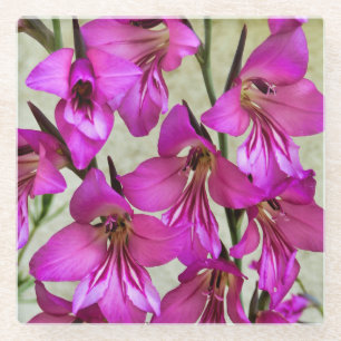 Byzantijnse Gladiolus Glazen Onderzetter