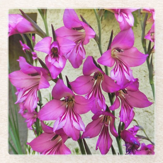 Byzantijnse Gladiolus Glazen Onderzetter (Voorkant)