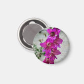 Byzantijnse Gladiolus Magneet (Voorkant / Achterkant)