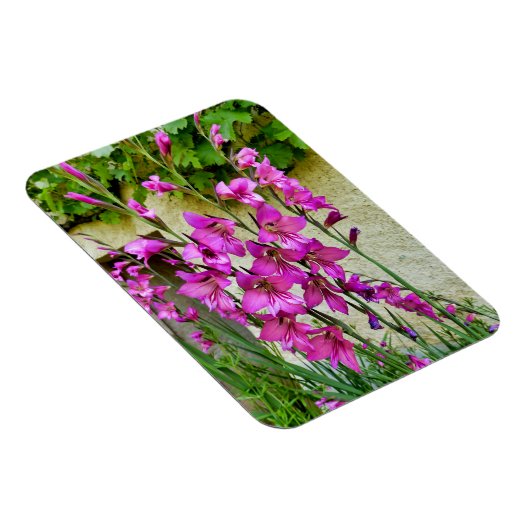 Byzantijnse Gladiolus Magneet (Rechterzijde)