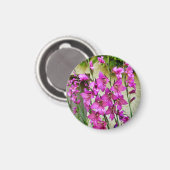 Byzantijnse Gladiolus Magneet (Voorkant / Achterkant)