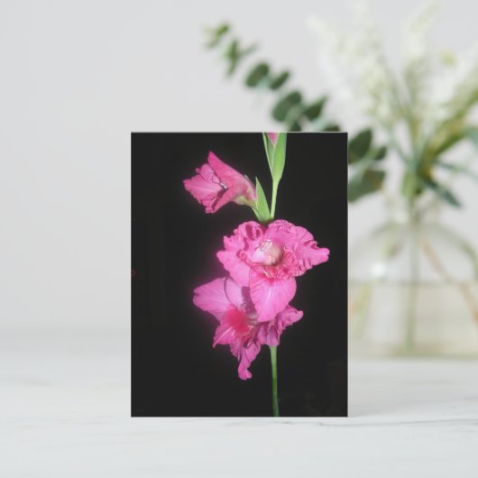 Byzantine Gladiolus Briefkaart (Staand voorkant)