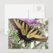 BZ- Briefkaart van de swallowtail Butterfly (Voorkant / Achterkant)