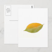 BZH22-1010-5 BRIEFKAART (Voorkant / Achterkant)