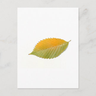 BZH22-1010-5 BRIEFKAART