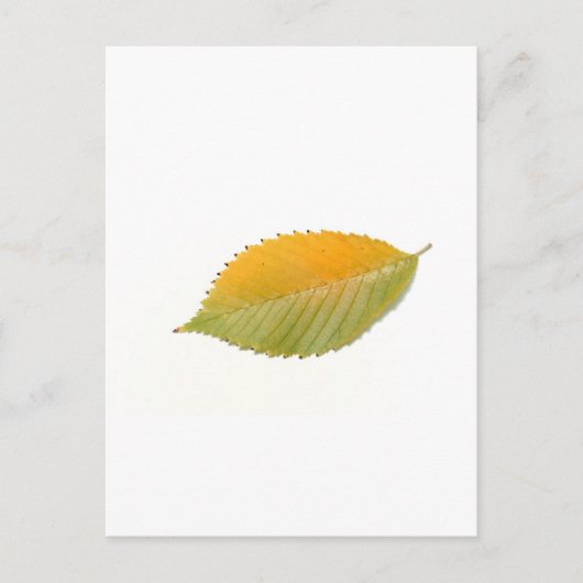 BZH22-1010-5 BRIEFKAART (Voorkant)