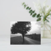 Bzij- en ringweg aan de Zwarte en de Witte Oceaan Briefkaart (Staand voorkant)