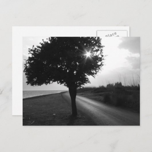 Bzij- en ringweg aan de Zwarte en de Witte Oceaan Briefkaart (Voorkant / Achterkant)