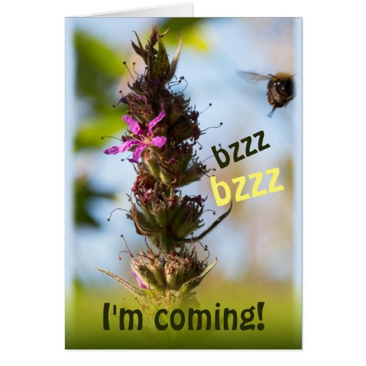 Bzzz, ik kom eraan. CC0764 Loosestrife en Bumblebe (Voorkant)