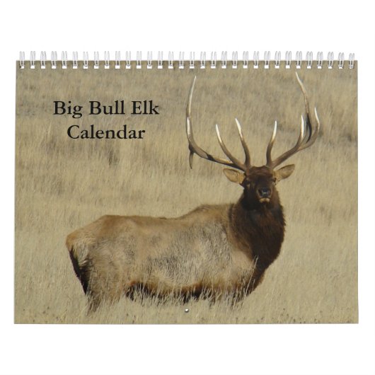C10 Grote Stierelandkalender Kalender (Hoes)