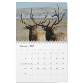 C10 Grote Stierelandkalender Kalender (Feb 2027)