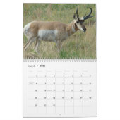 C11 Pronghorn Antelope-agenda Kalender (Mar 2026)
