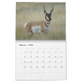 C11 Pronghorn Antelope-agenda Kalender (Feb 2026)