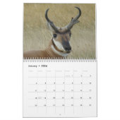 C11 Pronghorn Antelope-agenda Kalender (Jan 2026)