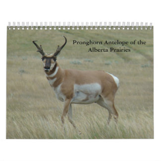 C11 Vorkhoorn Antilope Kalender