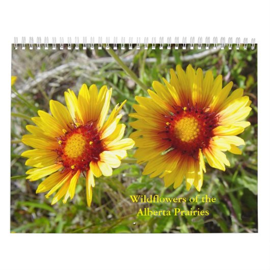 C12 Wildbloemen van de Alberta Prairies Kalender (Hoes)