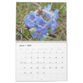 C12 Wilde Bloemen van de Alberta Prairies Kalender (Mar 2027)