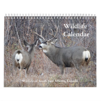 C13 Wilde Dieren Kalender