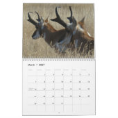 C13 Wilde Dieren Kalender (Mar 2027)