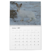 C13 Wilde Dieren Kalender (Jan 2027)