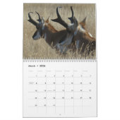 C13 Wildkalender Kalender (Mar 2026)