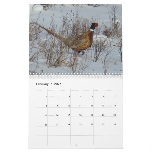 C13 Wildkalender Kalender (Feb 2026)