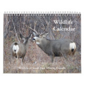 C13 Wildkalender Kalender (Hoes)