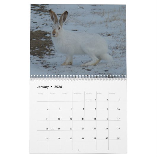 C13 Wildkalender Kalender (Jan 2026)