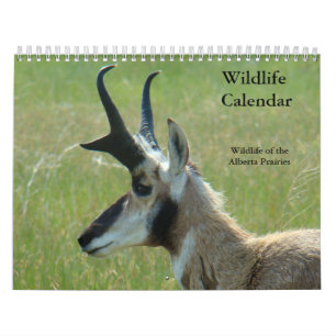 C14 Wilde Dieren Kalender