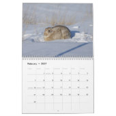 C14 Wilde Dieren Kalender (Feb 2027)