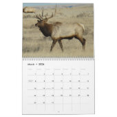 C14 Wildkalender Kalender (Mar 2026)