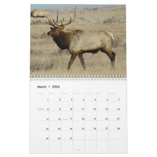 C14 Wildkalender Kalender (Mar 2026)