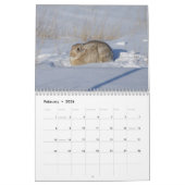 C14 Wildkalender Kalender (Feb 2026)